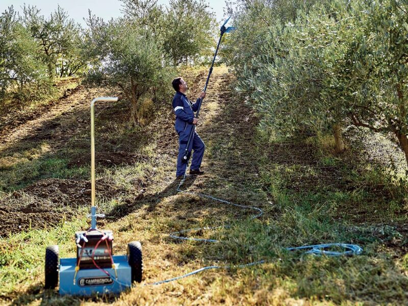 Abbacchiatore elettrico batteria ELEKTRA: per chiome poco folte