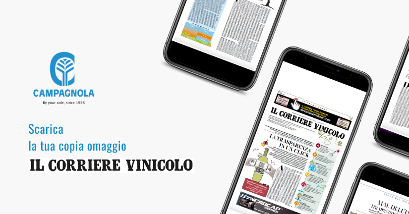 Corriere vinicolo CAMPAGNOLA