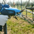02_FEB_legatura_in_vigneto_sito
