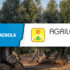 CAMPAGNOLA_NEWS_FIERE_agrilevante